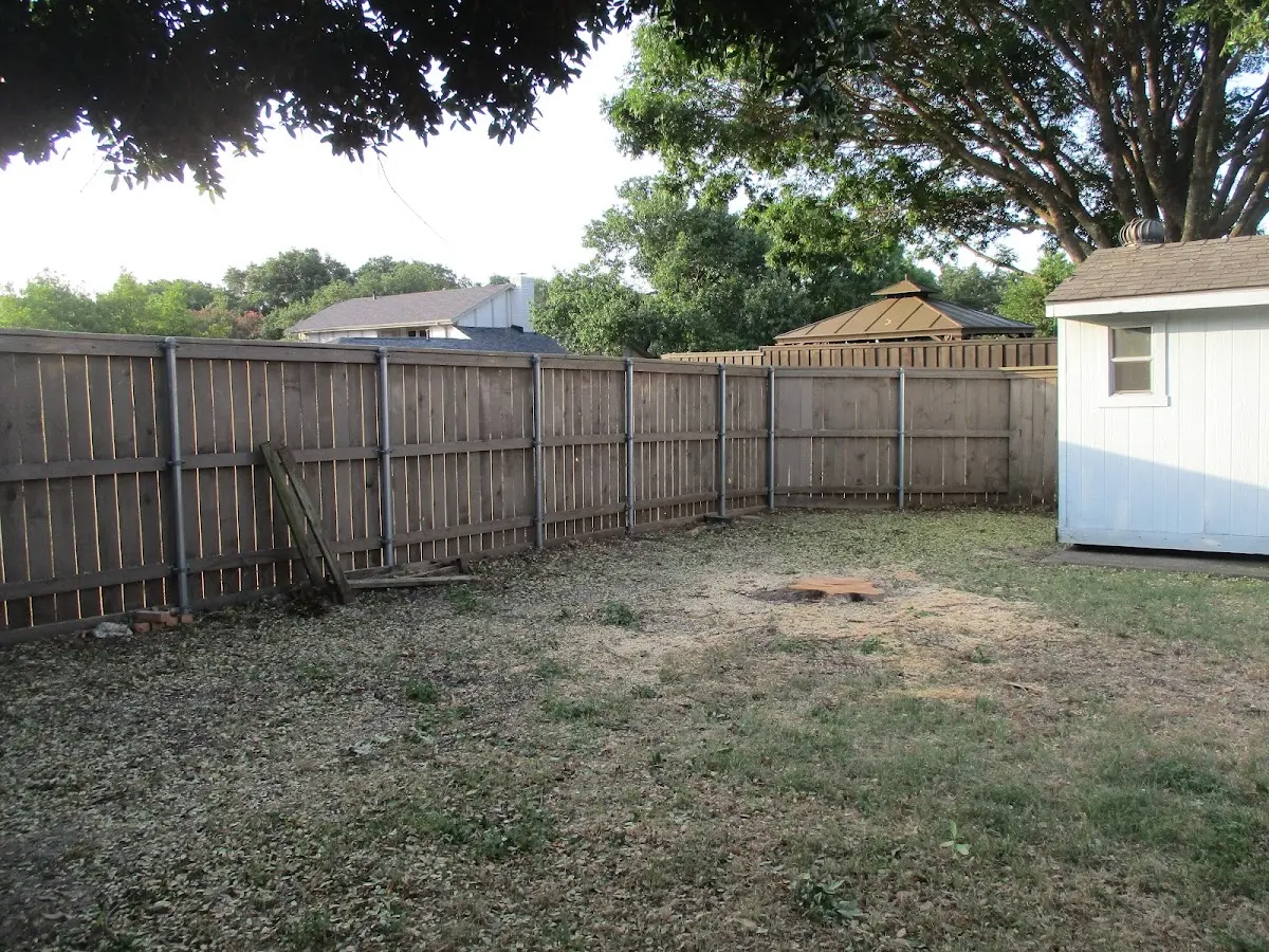 Cleared yard after professional tree removal in Elka Park